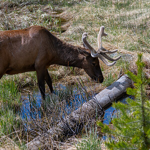 DSC_4506.jpg