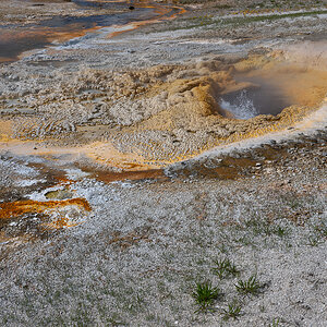 DSC_4740.jpg