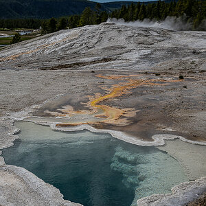 DSC_4760.jpg