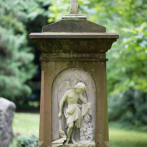 Z62_0641.jpg