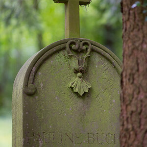 Z62_0672.jpg