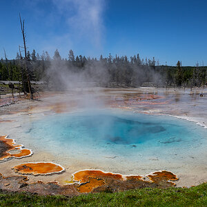 DSC_4957.jpg