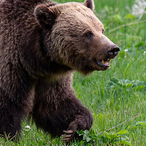 DSC_4050 (2)-Verbessert-RR.jpg