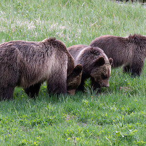 DSC_4114 (2)-Verbessert-RR.jpg