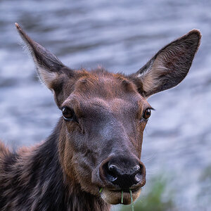 DSC_5230-Verbessert-RR.jpg