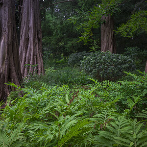Botanischer Garten Mainz