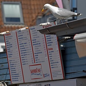 laboe_moewe_imbiss.jpg