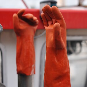 laboe_handschuhe.JPG