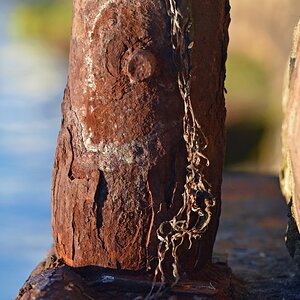 laboe_hafen_poller.jpg