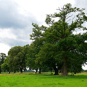 Z8A_0234t5l10s45p1.jpg