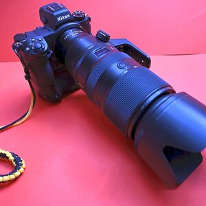 Batteriegriff_Z7II-2.jpg