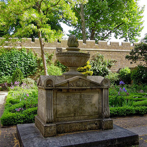 DSCN0981.jpg