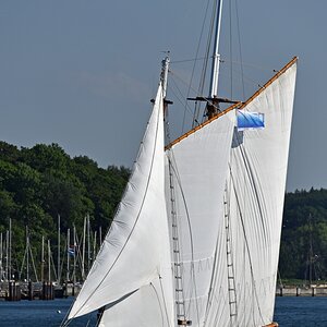 laboe_samyrah.jpg