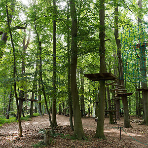 Kletterwald.jpg