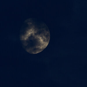 OF5_46160.jpg