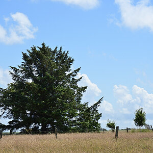 DSC_1157.JPG