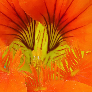 N7246053nikon.jpg