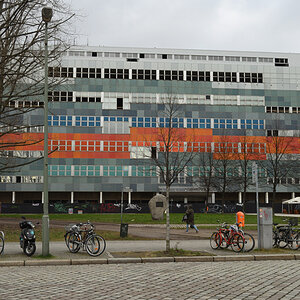 DSC_2519.JPG