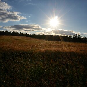 DSC_1508_00012n.jpg