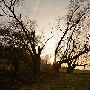 DSC_0003_00001n.jpg