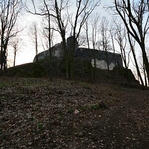 DSC_0005_00001n.jpg