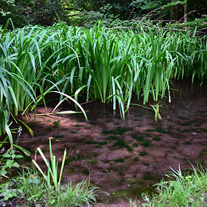 SKE_0502.JPG