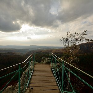 DSC_0039_00001n.jpg