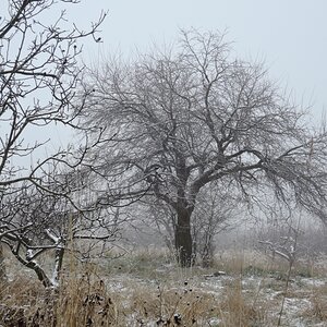 DSCN1545n.jpg