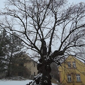 DSCN1547n.jpg
