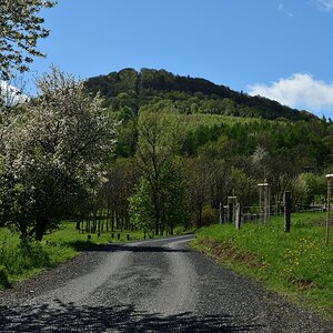 DSC_1879_00001n.jpg