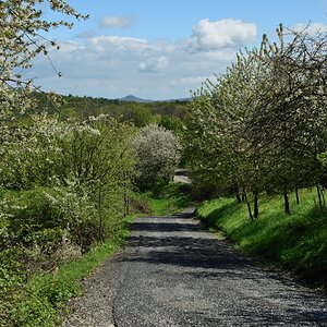 DSC_1881_00001n.jpg