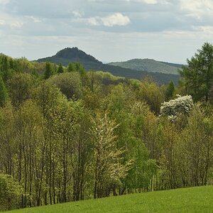 DSC_1900_00001n.jpg