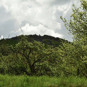 DSC_1906_00001_01n.jpg
