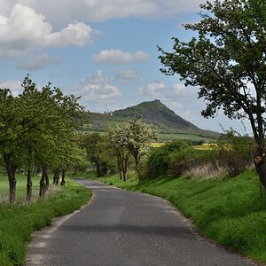 DSC_1951_00001n.jpg