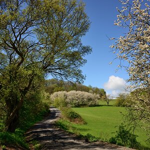 DSC_2668_00001n.jpg