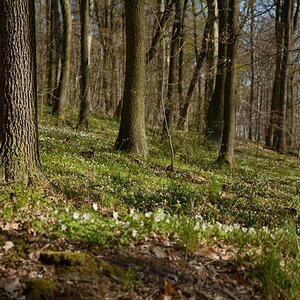 DSC_0839_00001n.jpg