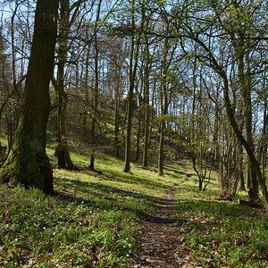 DSC_0849_00001n.jpg