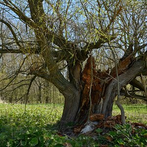 DSC_0913_00001n.jpg