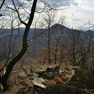 DSC_1262_00002n.jpg
