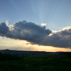 DSC_1205_00010 (2)n.jpg