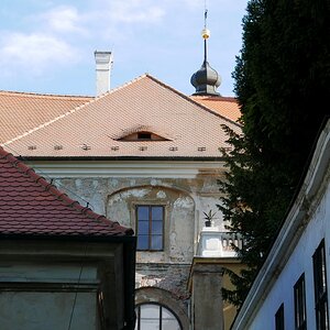 P1000327n.jpg