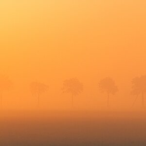 Nebel