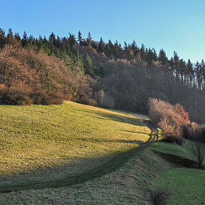 20081130-DSC_1159.jpg
