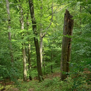 DSC_3276_00001_01n.jpg