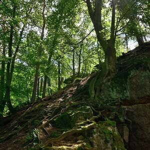 DSC_3277_00001n.jpg