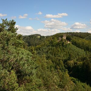 DSC_3284_00001_01n.jpg