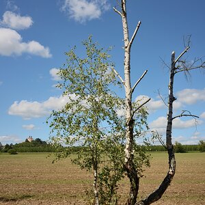 DSC_3288_00001n.jpg