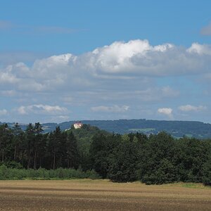 P8053321n.jpg