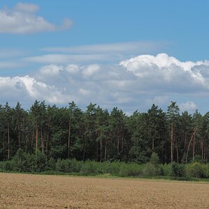 P8053323n.jpg
