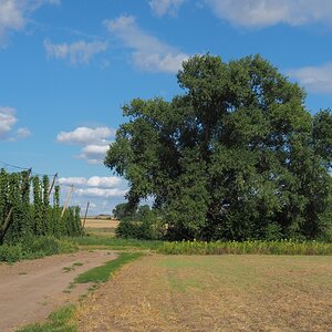 P8053423n.jpg